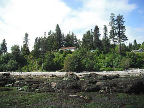 Edgewater Motel Campbell River Eksteriør bilde