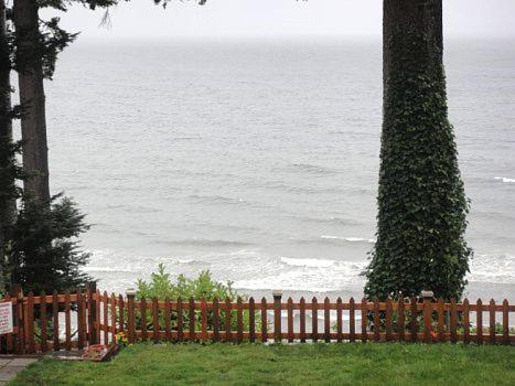 Edgewater Motel Campbell River Eksteriør bilde