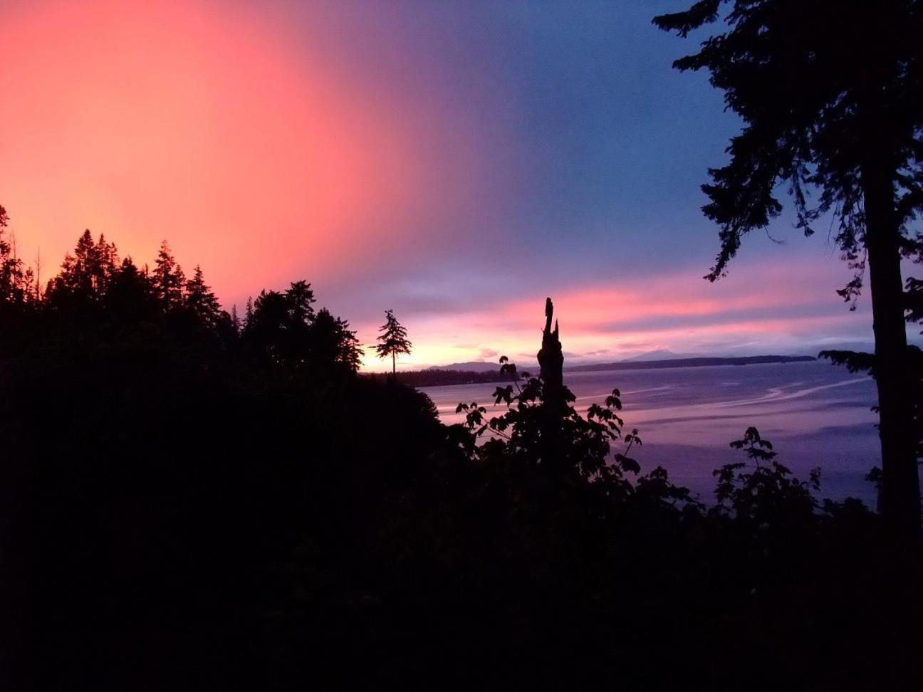 Edgewater Motel Campbell River Eksteriør bilde