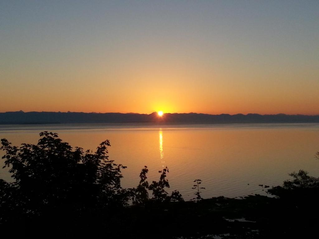 Edgewater Motel Campbell River Eksteriør bilde