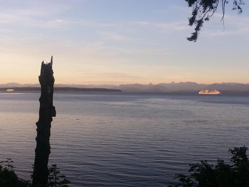Edgewater Motel Campbell River Eksteriør bilde